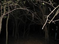 Chicago Ghost Hunters Group investigates Robinson Woods (232).JPG